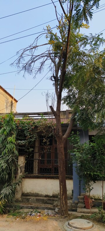 2 BHK Independent House For Sale in RWA Apartments Sector 47, Sector 47