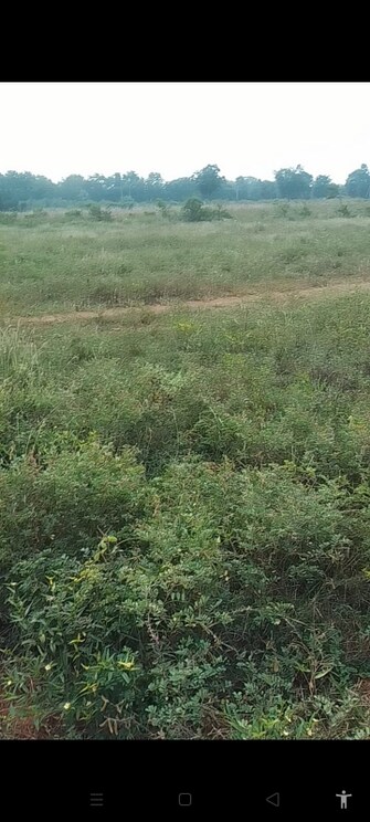 Commercial Land 206 Sq.Yd. For Resale in Kollur Hyderabad  7788031