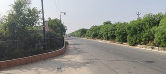 Plot For Resale in Aman Enclave Boytawala Boytawala Jaipur  7788130