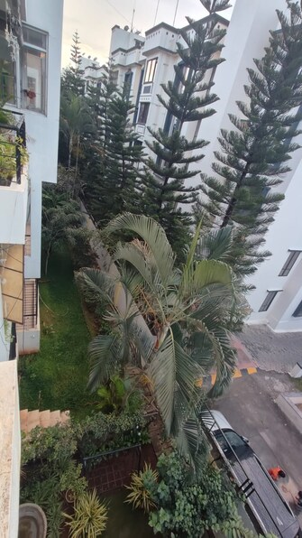 3 BHK Apartment For Resale in Aakruthi Silverline Hsr Layout Bangalore  7788162