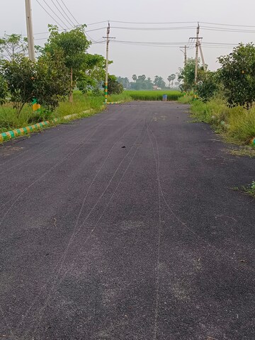  Plot – Exterior View View at Chittinagar - for Sale