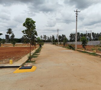 Plot For Resale in Jangamakote Bangalore  7788591