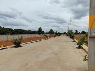 Plot For Resale in Jangamakote Bangalore  7788591