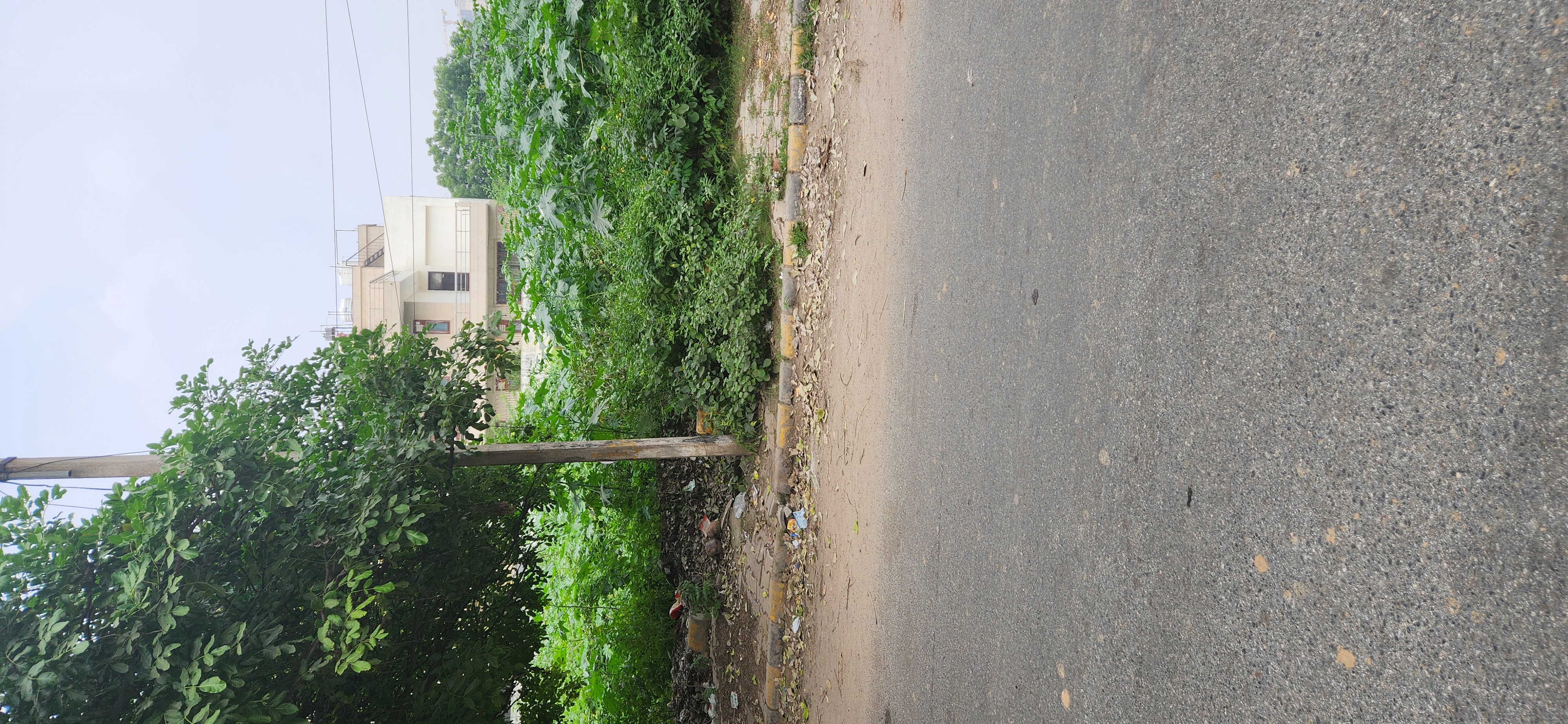 Plot For Resale in Sector 21 Gurgaon  7788617