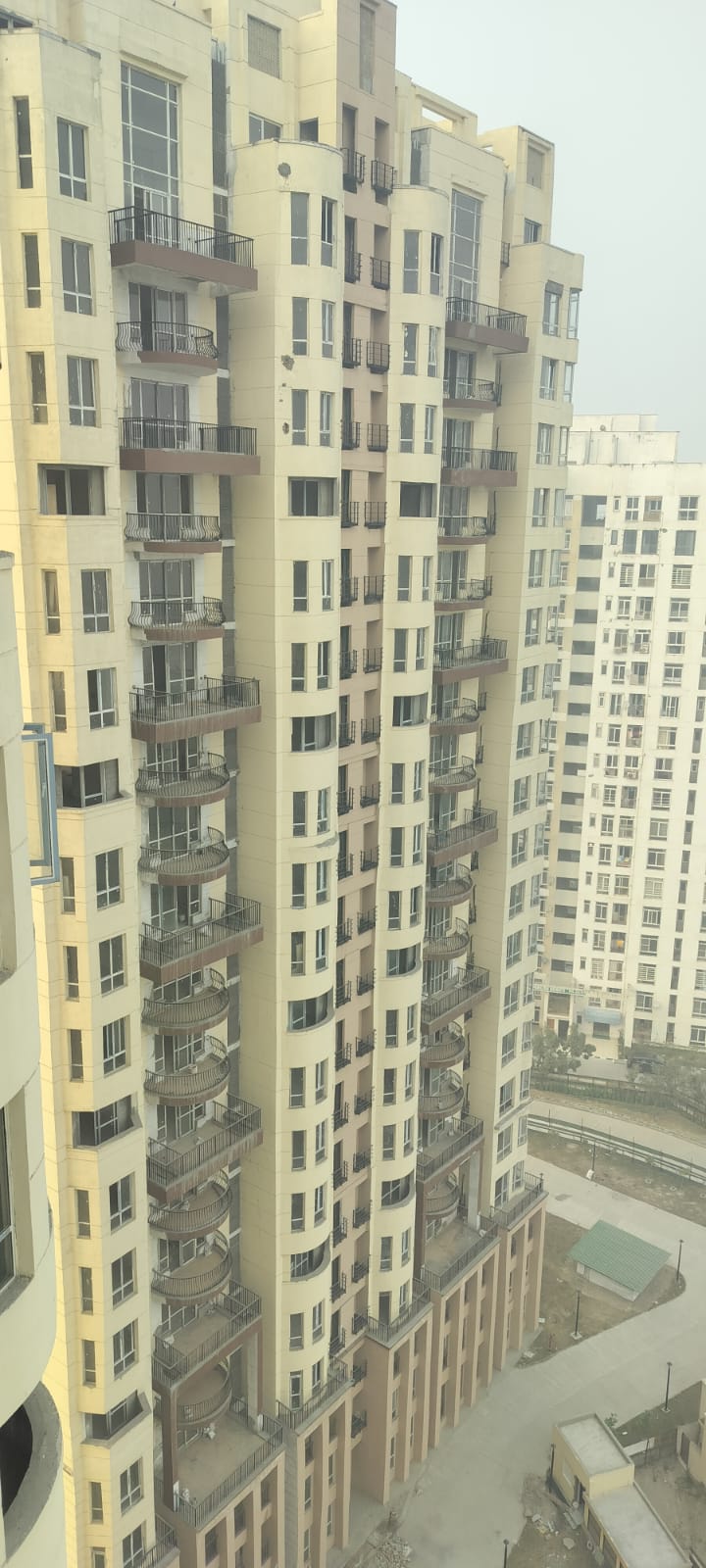 3.5 BHK Apartment For Resale in Jaypee Greens Knight Court Sector 128 Noida  7788605