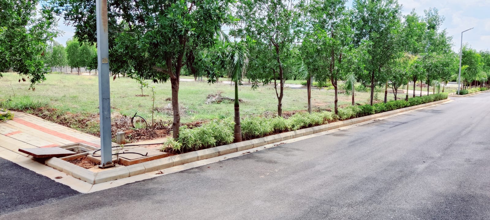 Plot For Resale in SLV Living Green Devanahalli Bangalore  7788985