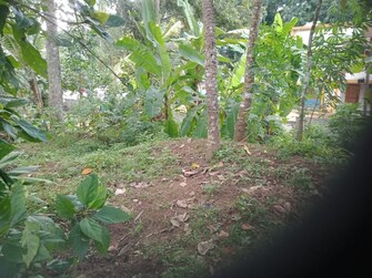 Plot For Resale in Oottukuzhy Thiruvananthapuram  7789133