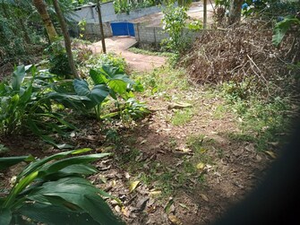 Plot For Resale in Oottukuzhy Thiruvananthapuram  7789133