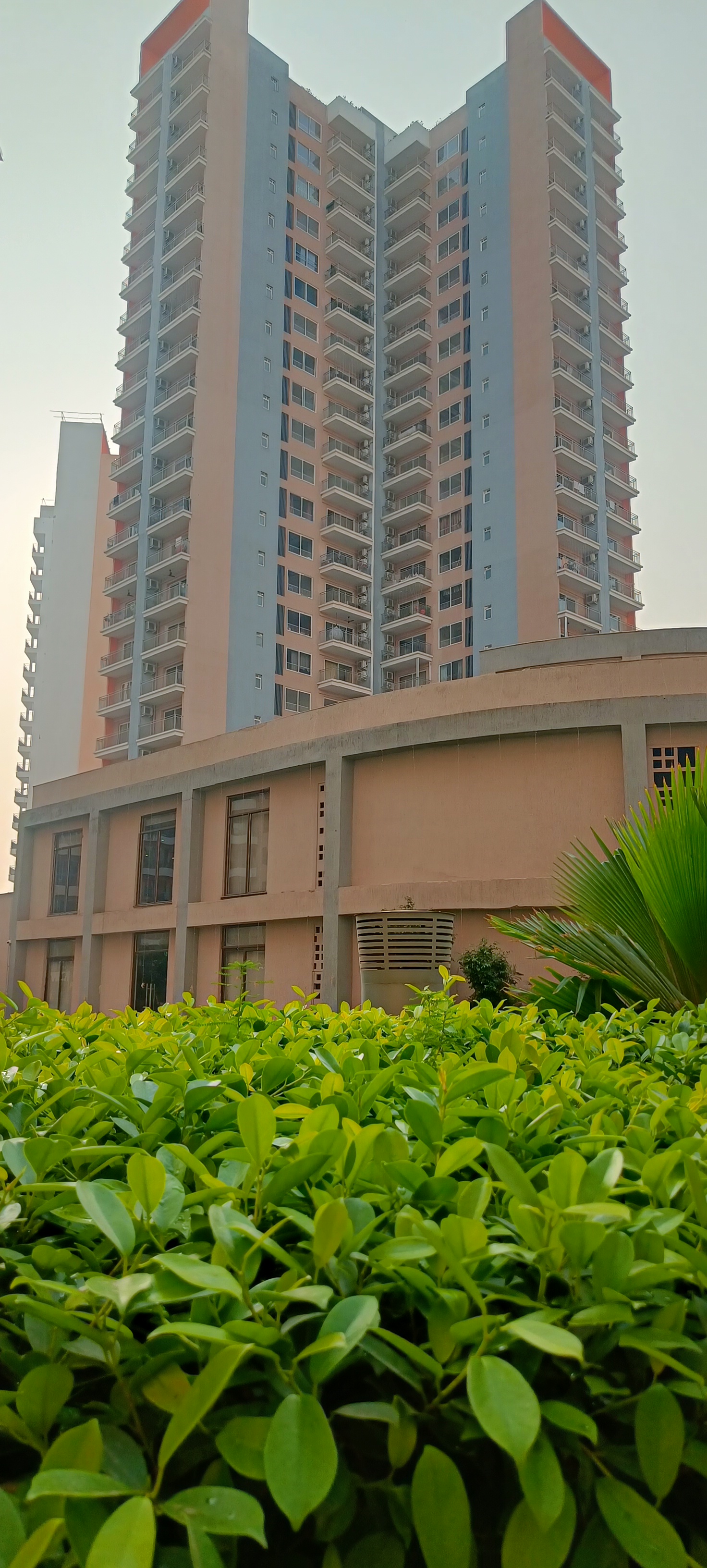 3 BHK Apartment For Resale in Shapoorji Pallonji Joyville Phase 2 Sector 102 Gurgaon  7789471