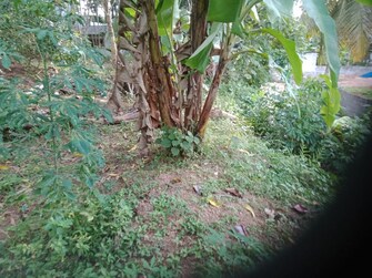 Plot For Resale in Oottukuzhy Thiruvananthapuram  7789759