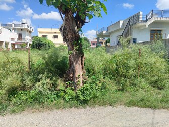 Plot For Resale in Prem Nagar Dehradun  7786870