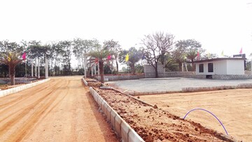  Plot For Sale in Shadnagar