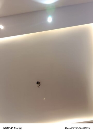 Room in 3 BHK Builder Floor at Ardee City, Sector 52 – for Sale