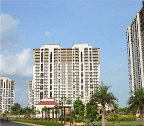 4 BHK Apartment For Rent in DLF New Town Heights III Sector 91 Gurgaon  7790380