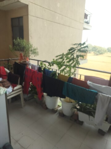 Master Bedroom in 1 BHK Apartment at Signature Global Synera, Sector 81 – for Sale