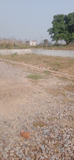 Plot For Resale in Badalpur Greater Noida  7790773