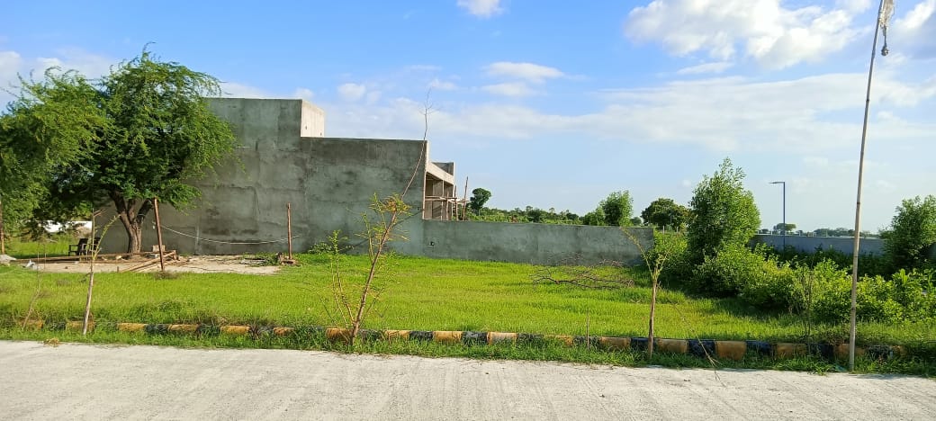 Plot For Resale in Solra Palwal  7790824