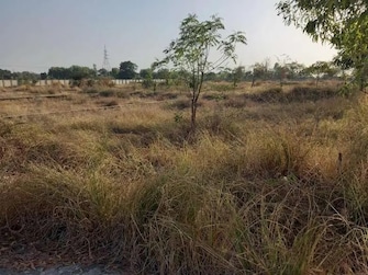 Plot For Resale in Ajwa Road Vadodara  7686982