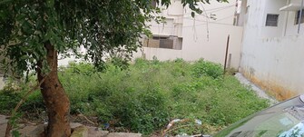 Plot For Resale in Avalahalli Bangalore  7791170