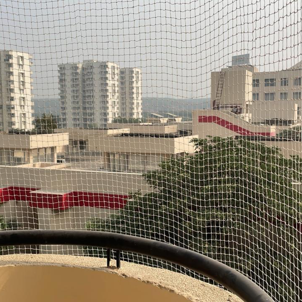 2 BHK Apartment For Rent in Sector 55 Gurgaon  7791307