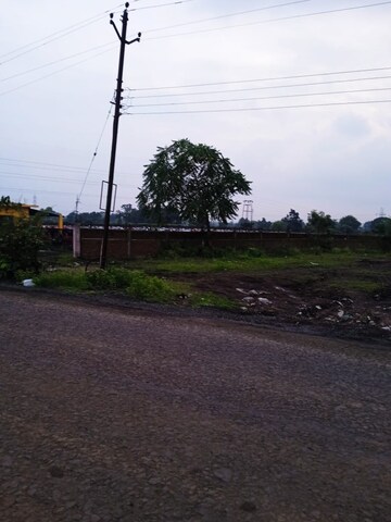 Plot For Resale in Pevtha Nagpur  7791679