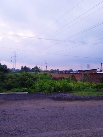 Plot For Resale in Pevtha Nagpur  7791679