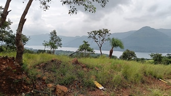 Plot For Resale in Mulshi Pune  7791878