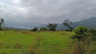 Plot For Resale in Mulshi Pune  7791878