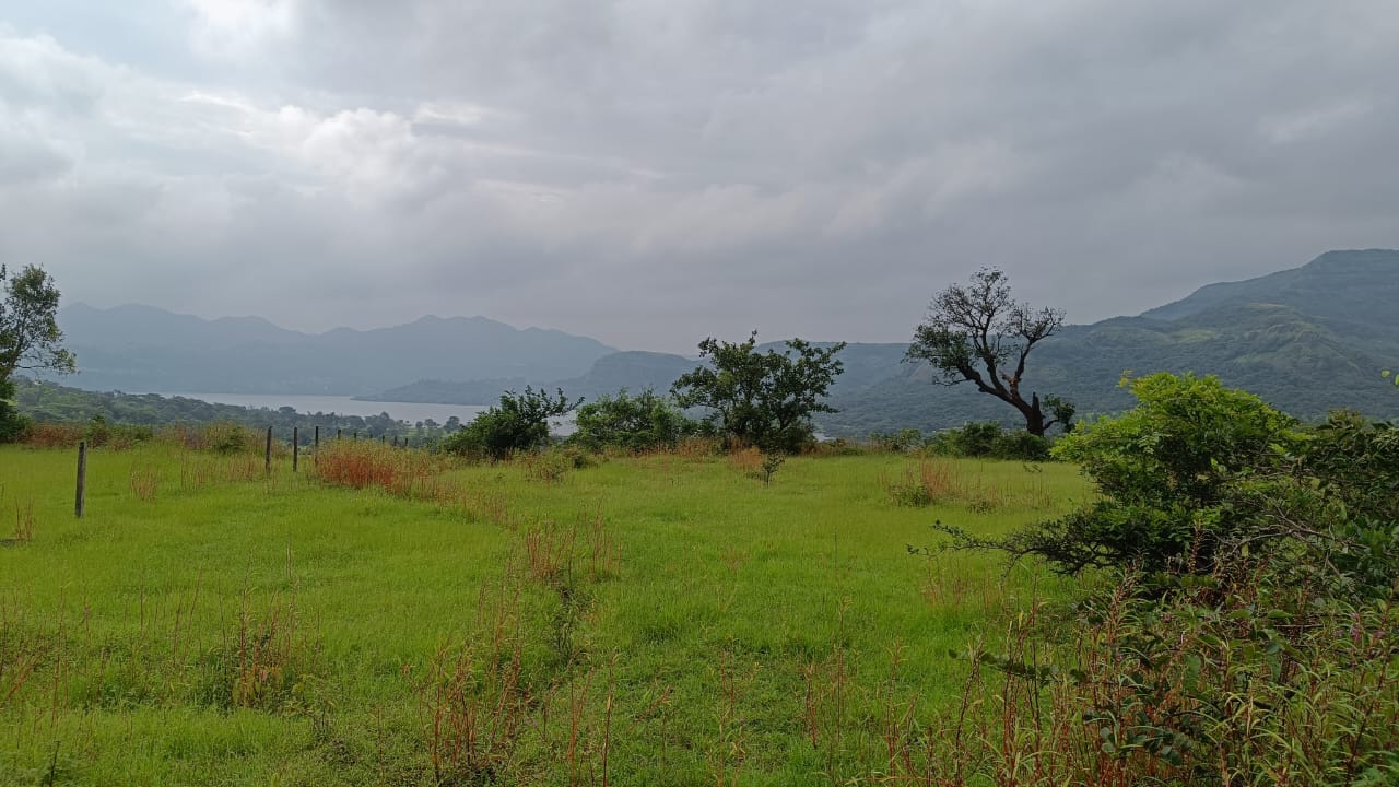 Plot For Resale in Mulshi Pune  7791878