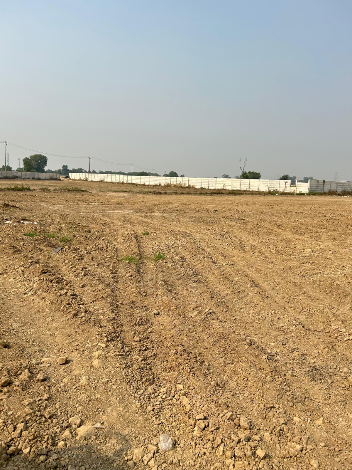 Plot For Resale in Dholera Ahmedabad  7791742