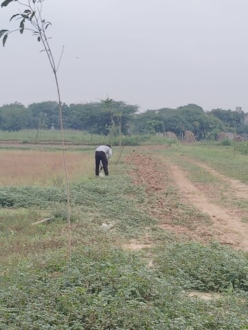  Plot For Sale in Farukh Nagar