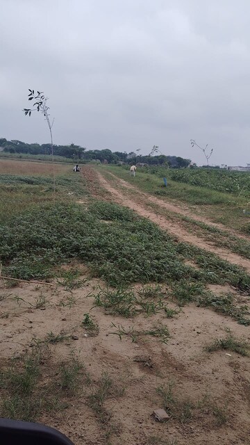  Plot For Sale in Farukh Nagar