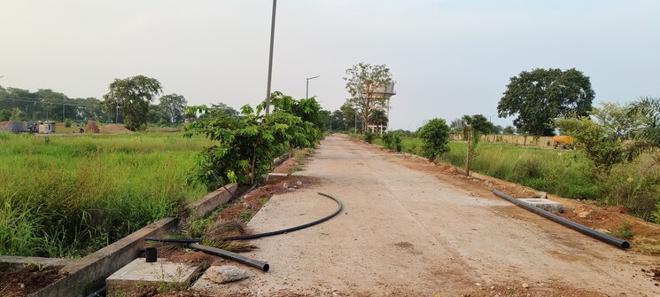 undefined, vidhan sabha marg  1175 Sq.Ft. Plot In Vidhan Sabha Marg Raipur 7792596