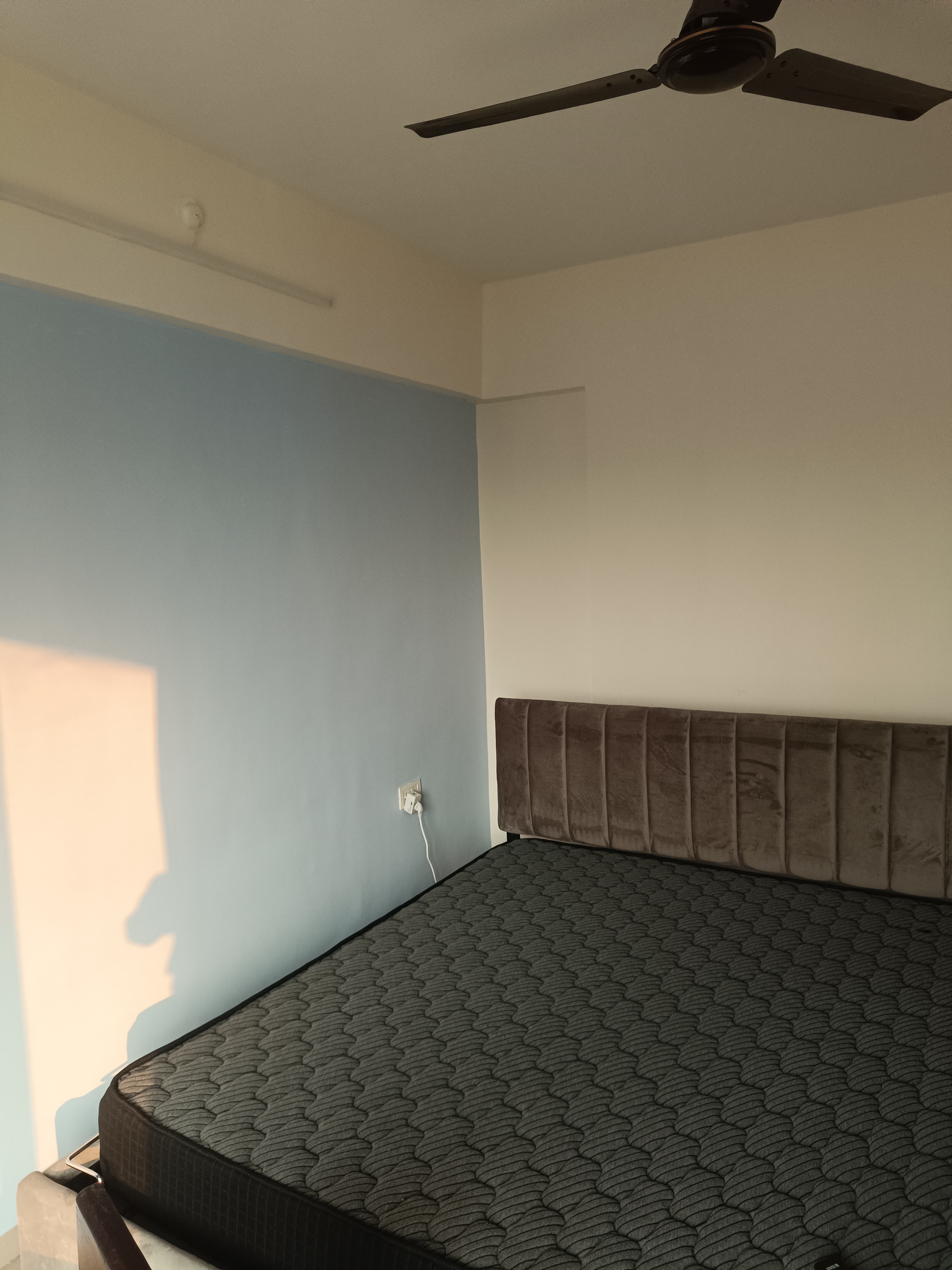 2 BHK Apartment For Rent in Tricity Palacio