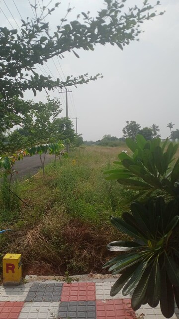 Plot For Resale in Bharapur Haridwar  7781349