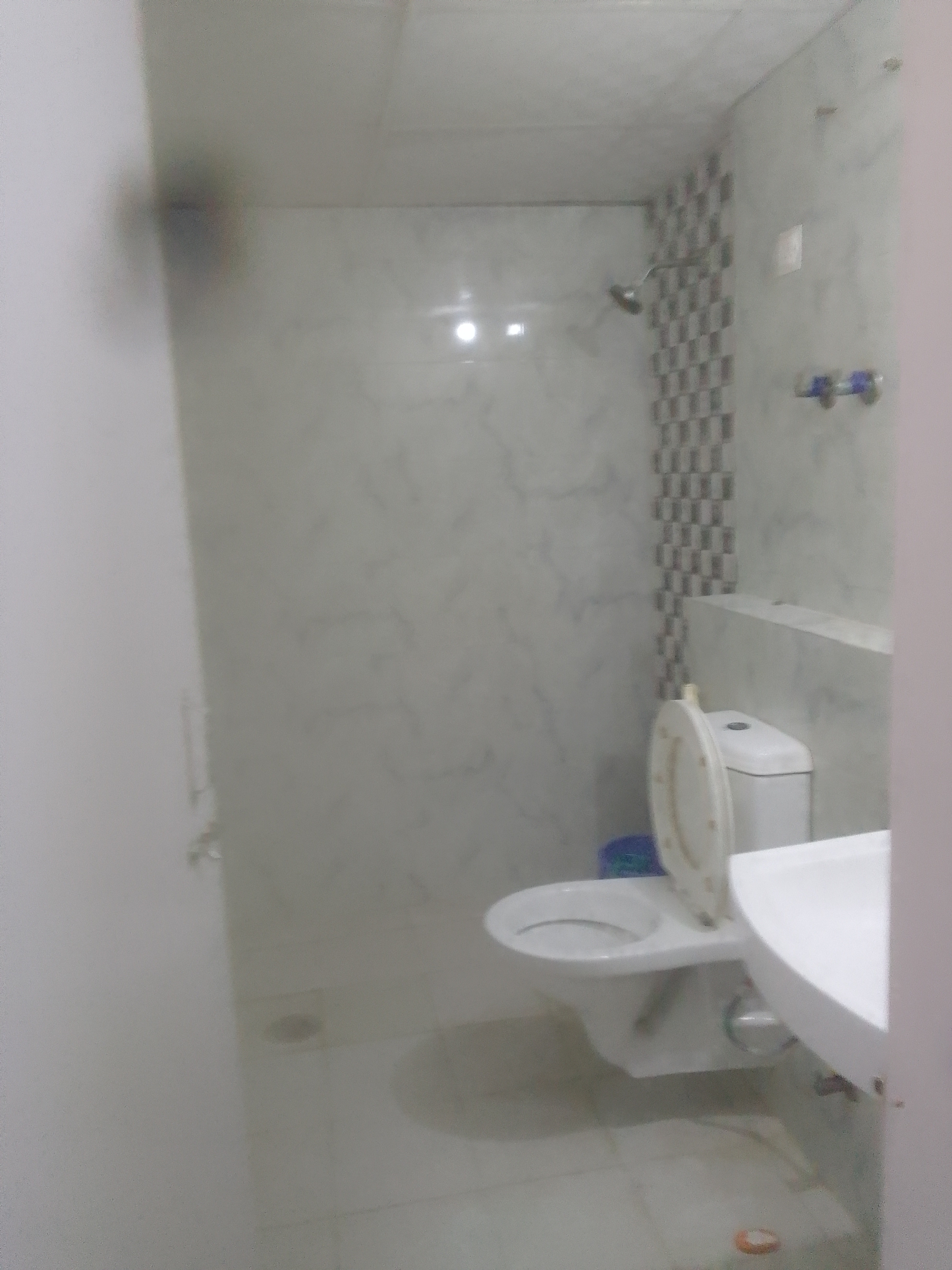 2 BHK Apartment For Rent in Unnati Elites Arena Sector 119 Noida  7793111