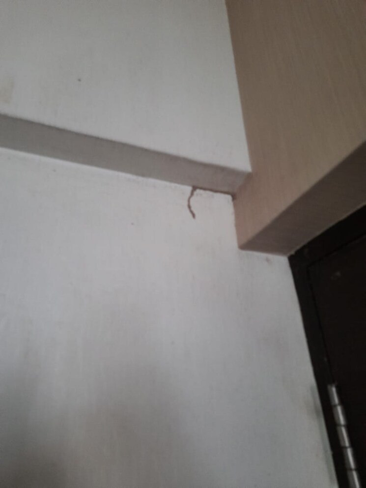 Room, neumec-elegance 1 Bedroom 598 Sq.Ft. Apartment In Lower Parel Mumbai 7793194