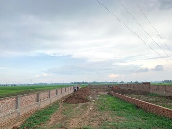 Plot For Resale in Golambar Patna  7793299