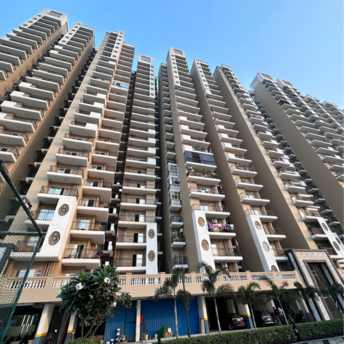 3 BHK Apartment For Resale in Arocon Rainbow Shahpur Bamheta Ghaziabad  7793314