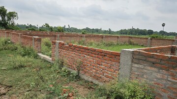 Plot Area in  Plot at Bihta – for Sale