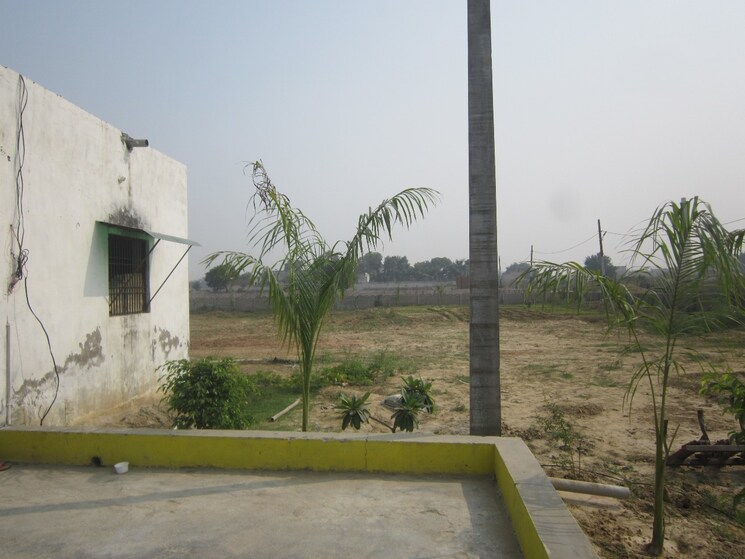 Exterior View, upsidc site b  50 Sq.Yd. Plot In Upsidc Site B Greater Noida 7793370