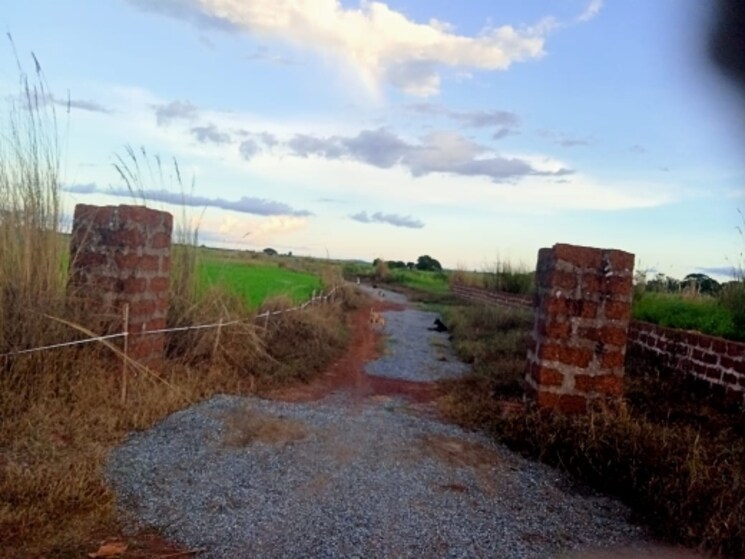 undefined, ogalapada  1200 Sq.Ft. Plot In Ogalapada Bhubaneswar 7793626