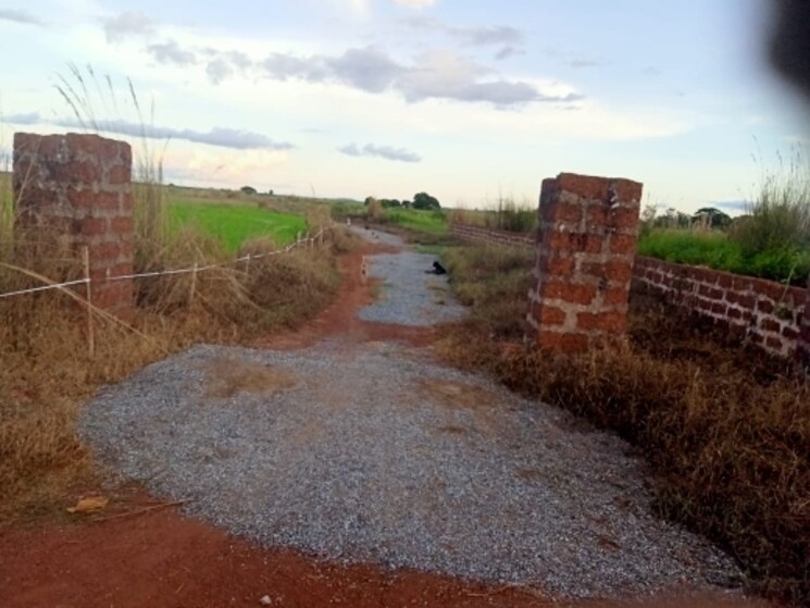 undefined, ogalapada  1200 Sq.Ft. Plot In Ogalapada Bhubaneswar 7793626