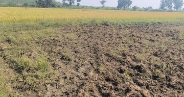 Plot Area in  Plot at Jawahar Nagar – for Sale