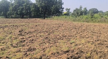 Plot Area in  Plot at Jawahar Nagar – for Sale