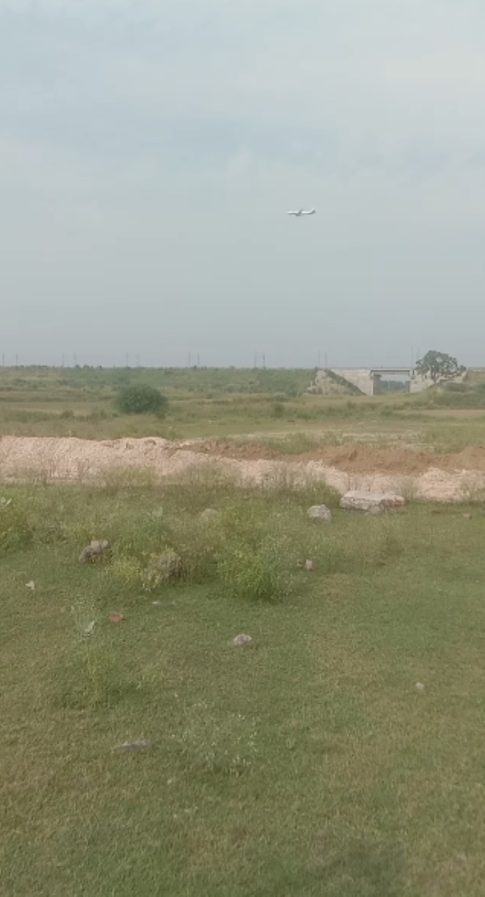 Plot For Resale in Koregaon Mul Pune  7790793