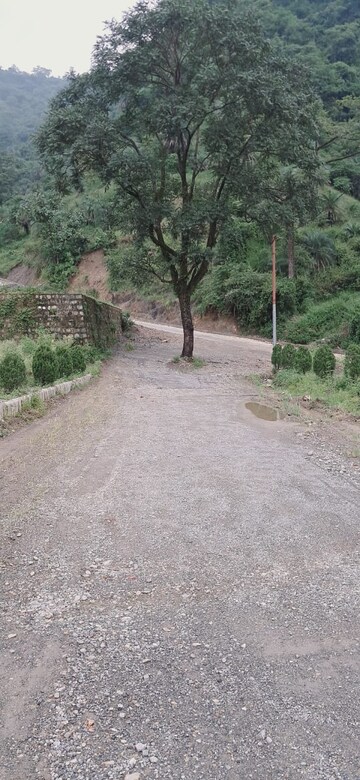Plot Area in  Plot at Sahastradhara – for Sale