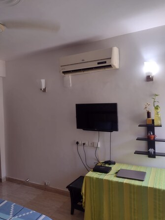 3 BHK Apartment For Rent in DLF Westend Heights New Town Akshayanagar Bangalore  7794066