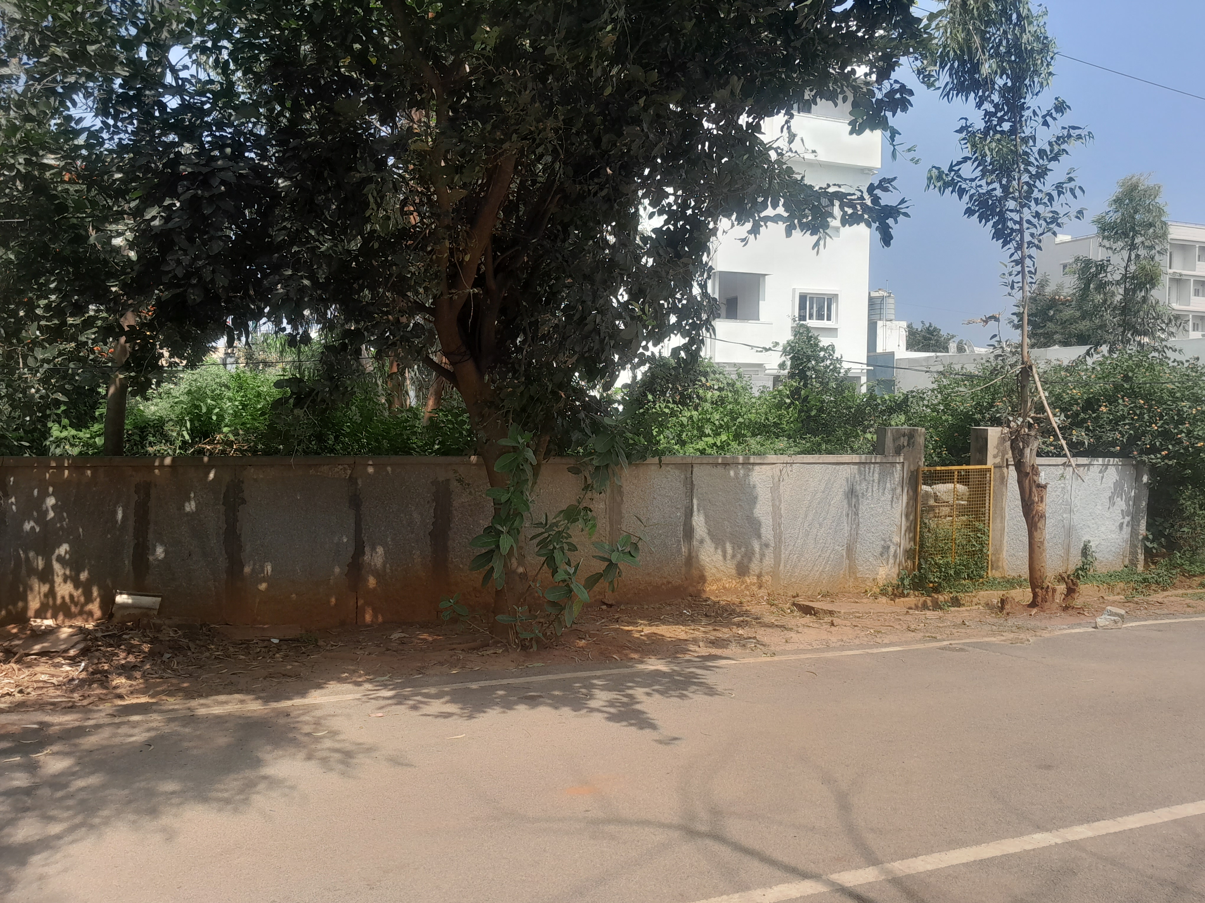 Plot For Resale in Nri Layout Bangalore  7794166