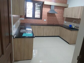 4 BHK Apartment For Rent in Sterling North Sadashiva Nagar Bangalore  7794553